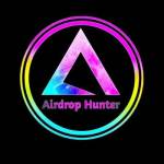 Airdrop Hunter Profile Picture