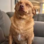 Levent Profile Picture