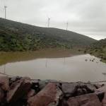 Uğur Profile Picture